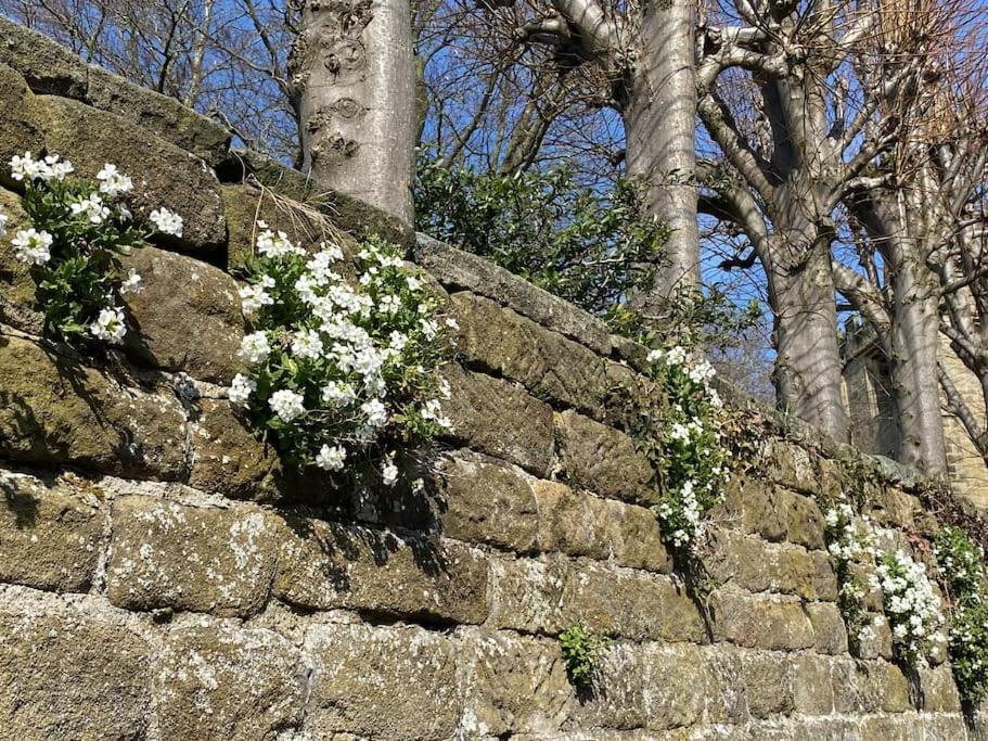 Garden Cottage - Ashover Village Near Matlock เชสเตอร์ฟิลด์ ภายนอก รูปภาพ